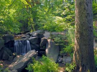 CENTRAL-PARK-WATER-FALL